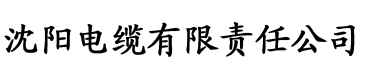 亚洲人成无码观看电缆厂logo